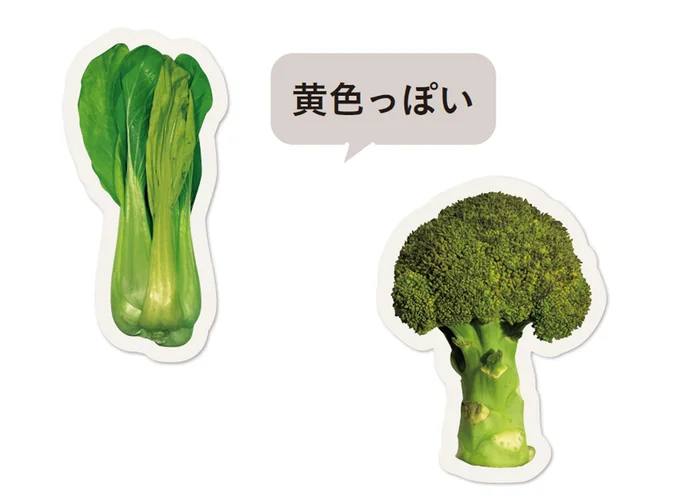 ブロッコリーのいつも食べている部分は花のつぼみ。黄色っぽいのは花が咲きかけているか、花が枯れてしまったためですが、食べても問題ありません