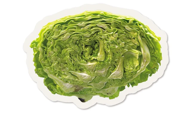 これって捨てるべき？ ちょっと心配な野菜の「食べられるor食べられない」をプロが指南