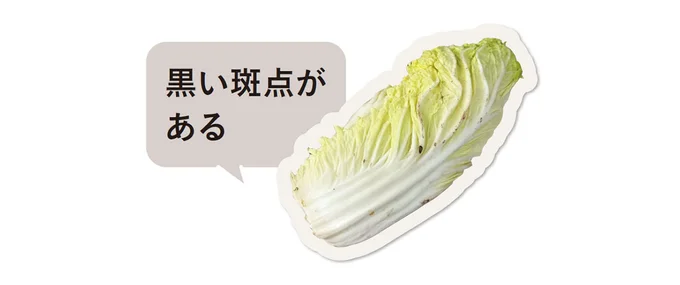 白菜は成長段階での環境により、黒い斑点が出る場合があります