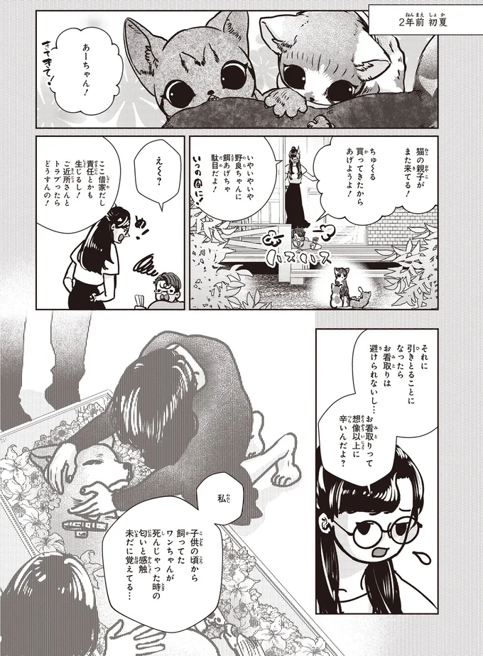 野良ちゃんに餌あげちゃ駄目だよ！