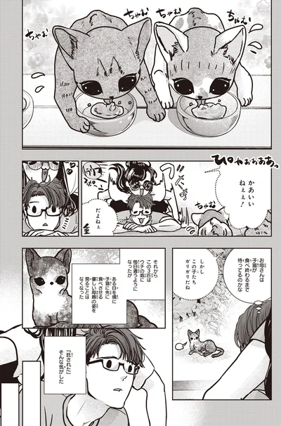 この子たちガリガリだね