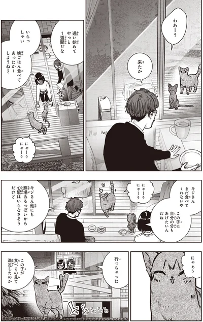 『スローステップ朔太郎 上』より