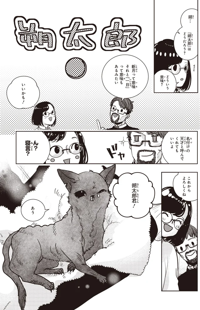 『スローステップ朔太郎 上』より