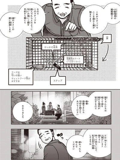 ここを踏むと扉が閉まります