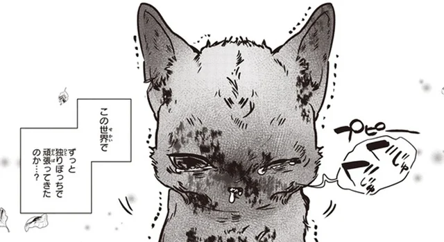 今まで独りぼっちで…。世話する地域猫がつれてきた、ボロボロの野良の子猫／スローステップ朔太郎 上（3）