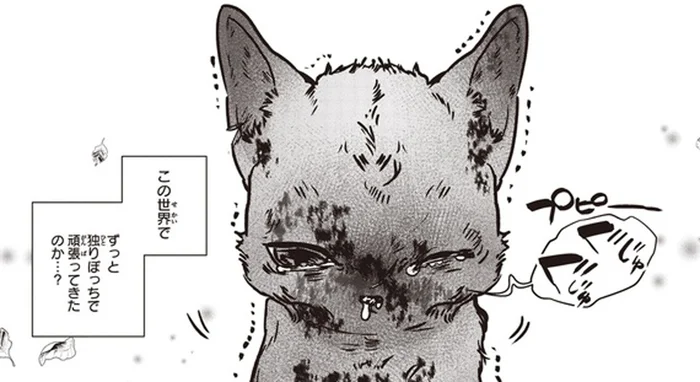 今まで独りぼっちで…。世話する地域猫がつれてきた、ボロボロの野良の子猫／スローステップ朔太郎 上（3）