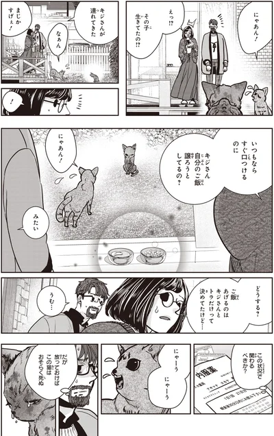 自分のご飯譲ろうとしてるの？