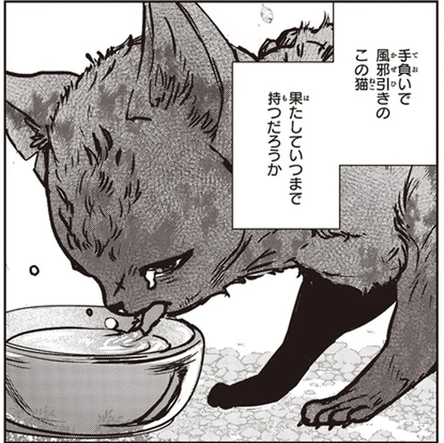 命は繋がったけれど。傷だらけの子猫が生きるのは、弱い者は淘汰される厳しい世界／スローステップ朔太郎 上（5）