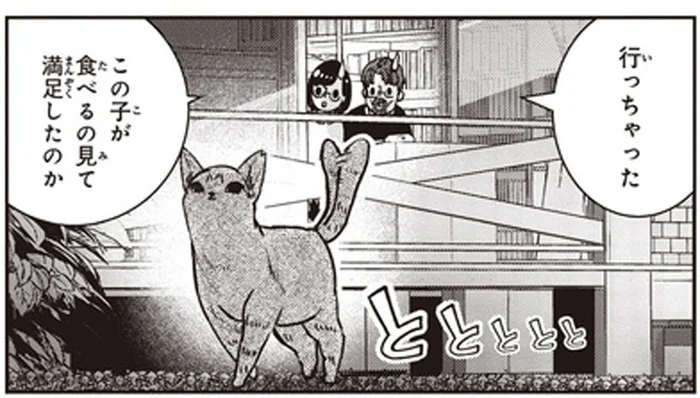 自分はエサを食べず見守るだけ。傷だらけの子猫を連れてきてくれる地域猫／スローステップ朔太郎 上（6）