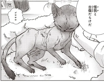 怪我と古傷だらけだ