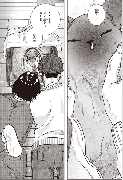 ここまでよく生きてきたね