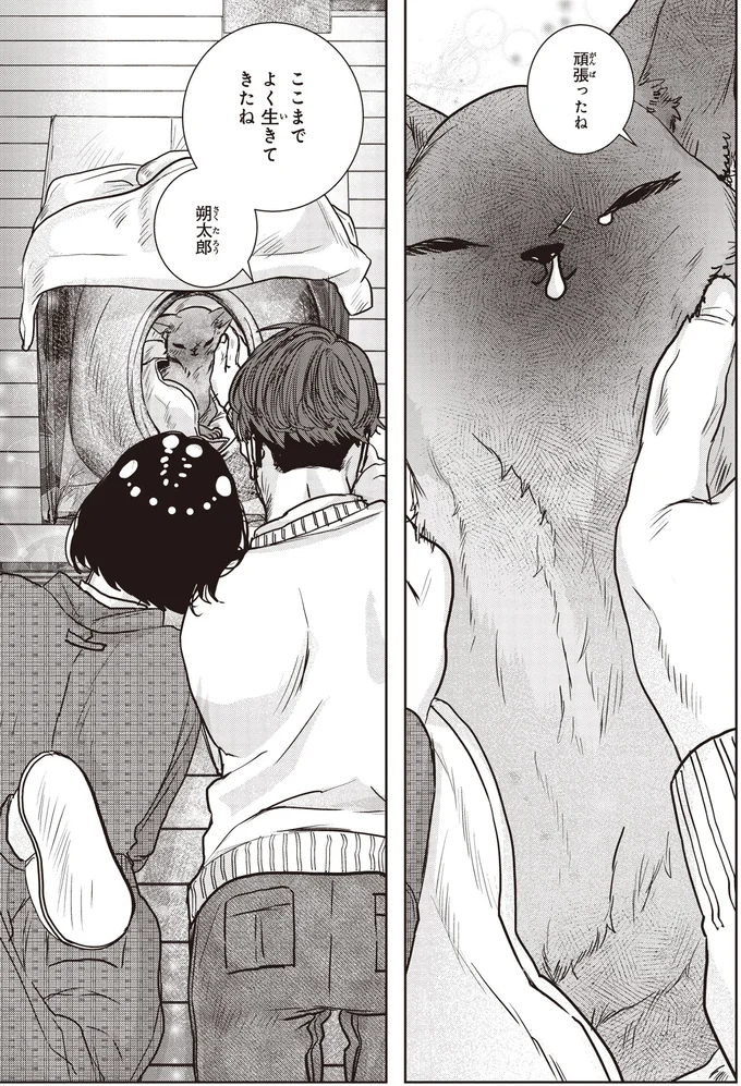 ここまでよく生きてきたね