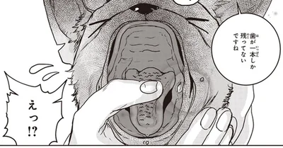 歯が一本しか残ってないですね