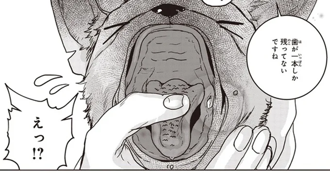 歯が一本しか残ってないですね