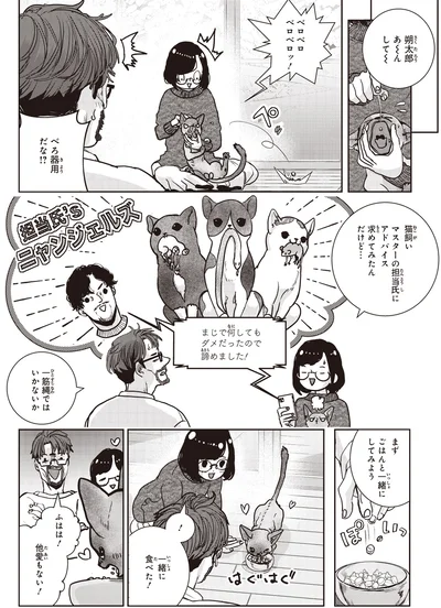 ごはんと一緒にしてみよう