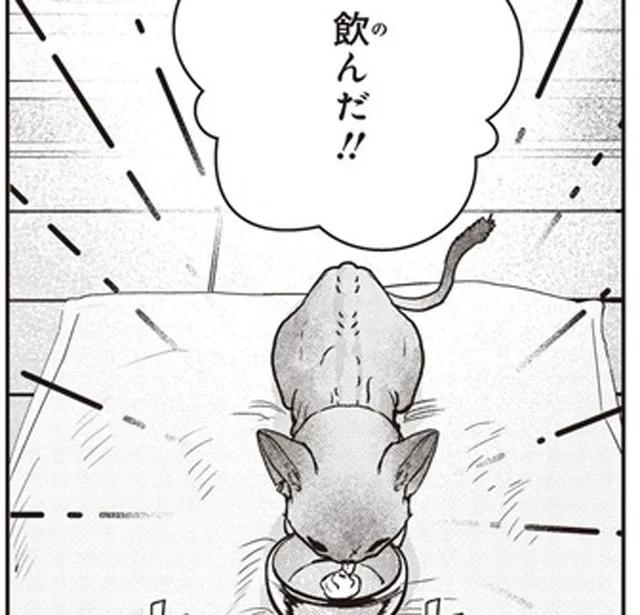 一筋縄ではいかない野良の子猫への投薬。頼ったのは、やっぱりアレ！／スローステップ朔太郎 上（10）