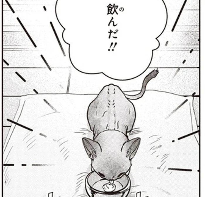 一筋縄ではいかない野良の子猫への投薬。頼ったのは、やっぱりアレ！／スローステップ朔太郎 上（10）