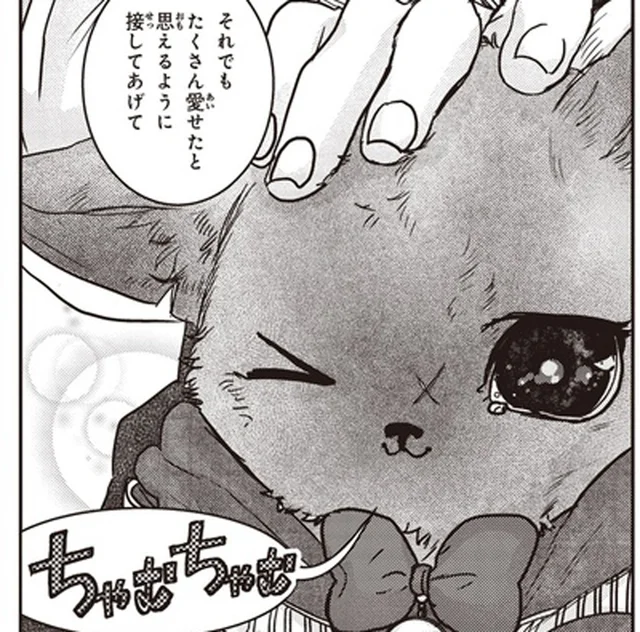 必ずくる別れ際に後悔しないために。保護猫を「うちの子」にすると決めた日の決意／スローステップ朔太郎 上（12）