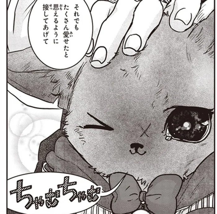 必ずくる別れ際に後悔しないために。保護猫を「うちの子」にすると決めた日の決意／スローステップ朔太郎 上（12）