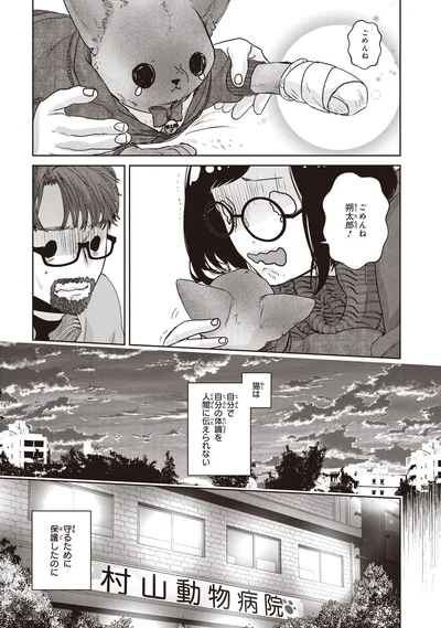 猫は自分で自分の体調を人間に伝えられない