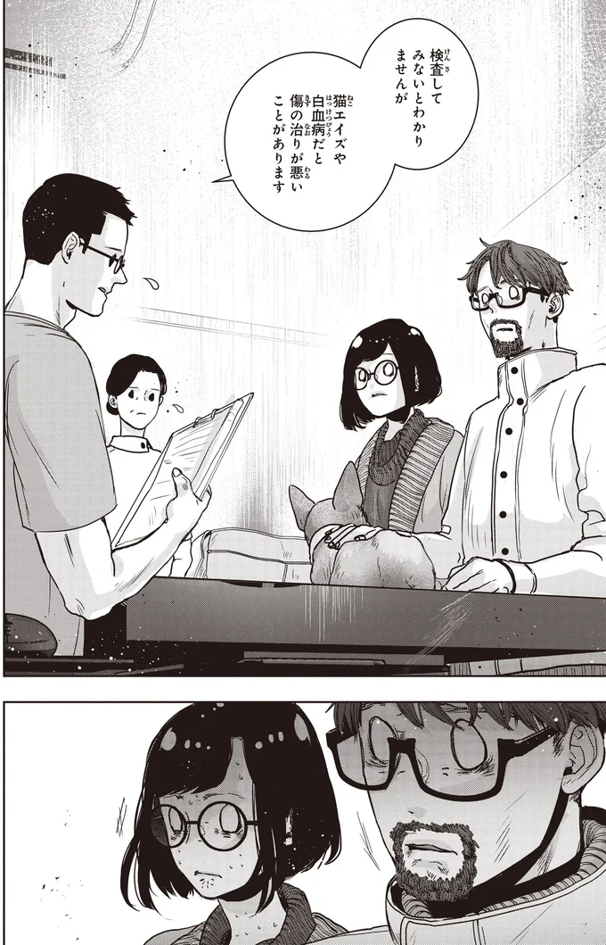 猫エイズや白血病だと