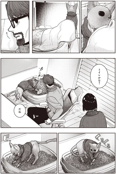 トイレかな？　だね