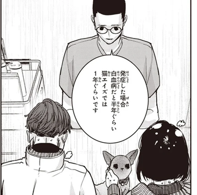 せっかく出会ったのに。獣医から告げられた、保護猫の残酷な現実／スローステップ朔太郎 上（16）