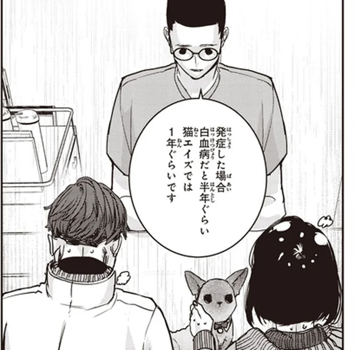 せっかく出会ったのに。獣医から告げられた、保護猫の残酷な現実／スローステップ朔太郎 上（16）