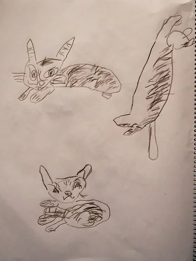 「猫の日」の由来に疑問を覚える5歳が描いてくれた猫▶モデルになったのは（⇒次へ）