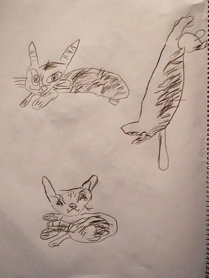 「猫の日」の由来に疑問を覚える5歳が描いてくれた猫▶モデルになったのは（⇒次へ）