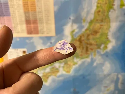 「上手に出来たからね、無くさないでね」▶（次画像から育児が楽しくなること間違いなし！抱腹絶倒エピソード満載のほのぼの子育てコミックエッセイ『しおさん1歳 令和ギャル爆誕の道のり』が読めます）