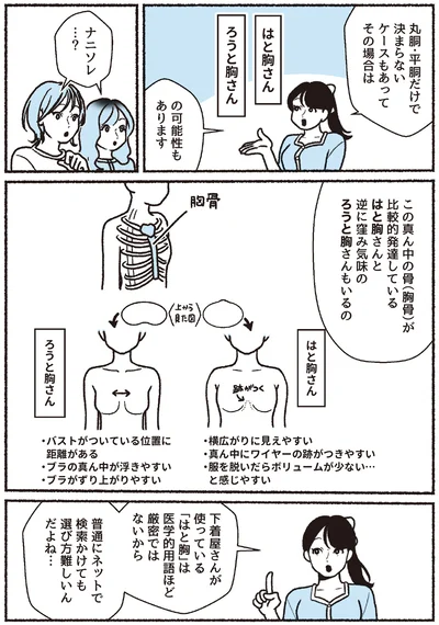 『悪いのはスタイルじゃなくて下着でした 一生モノの下着の教科書』より