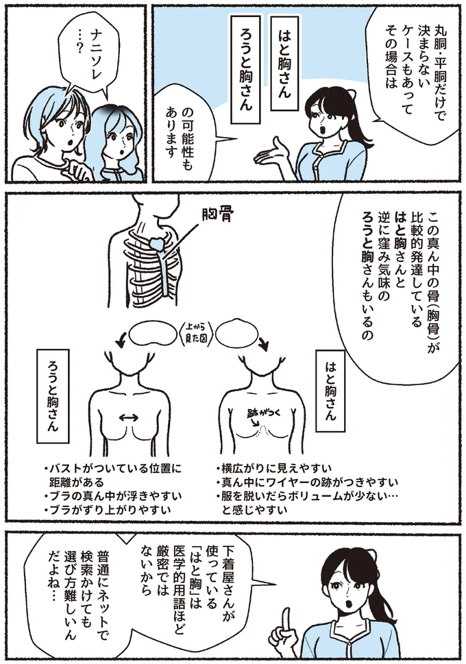 『悪いのはスタイルじゃなくて下着でした 一生モノの下着の教科書』より