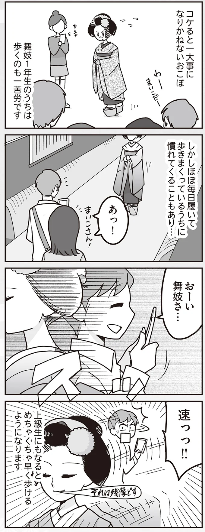 『舞妓をやめたそのあとで』より
