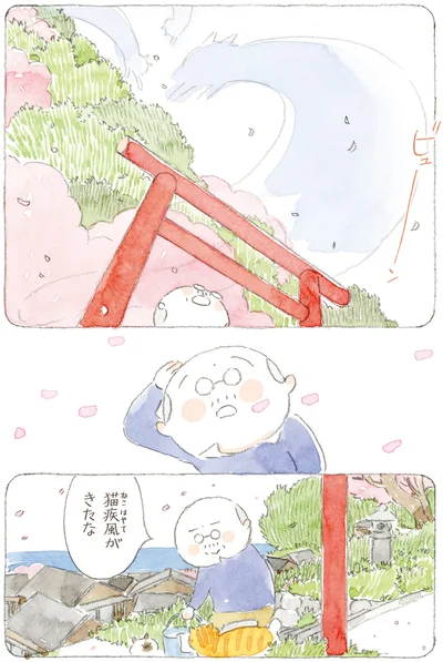 猫疾風がきたな