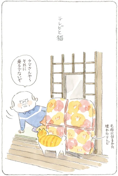 『ねことじいちゃん12』より