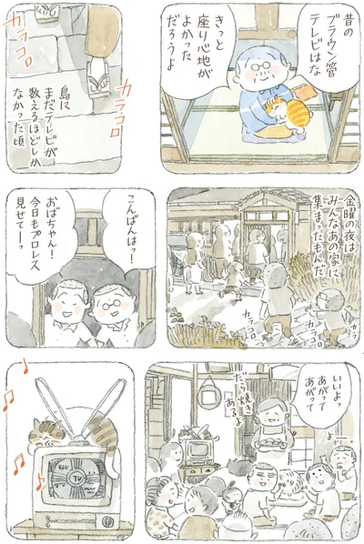 『ねことじいちゃん12』より