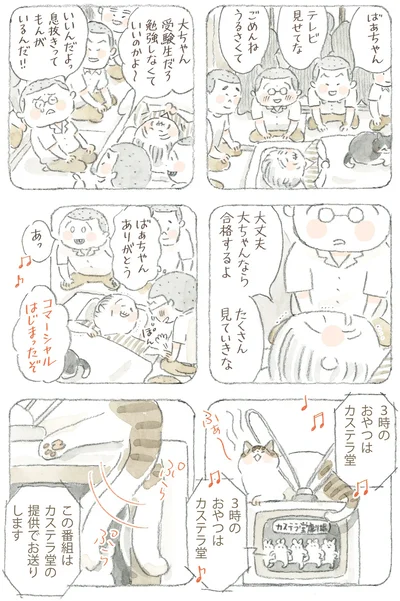『ねことじいちゃん12』より