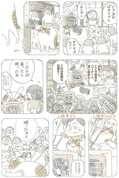 『ねことじいちゃん12』より