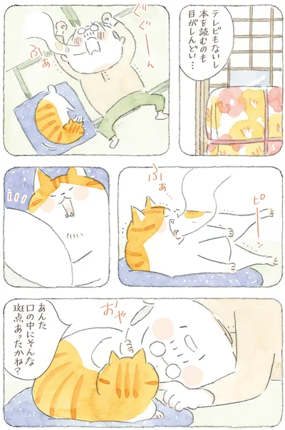 『ねことじいちゃん12』より