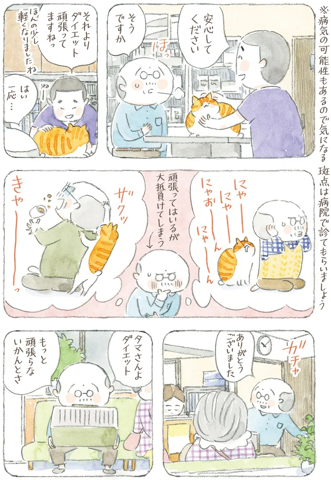 『ねことじいちゃん12』より