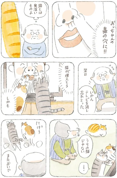 『ねことじいちゃん12』より
