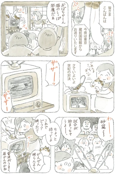 猫のしっぽ邪魔だぁ