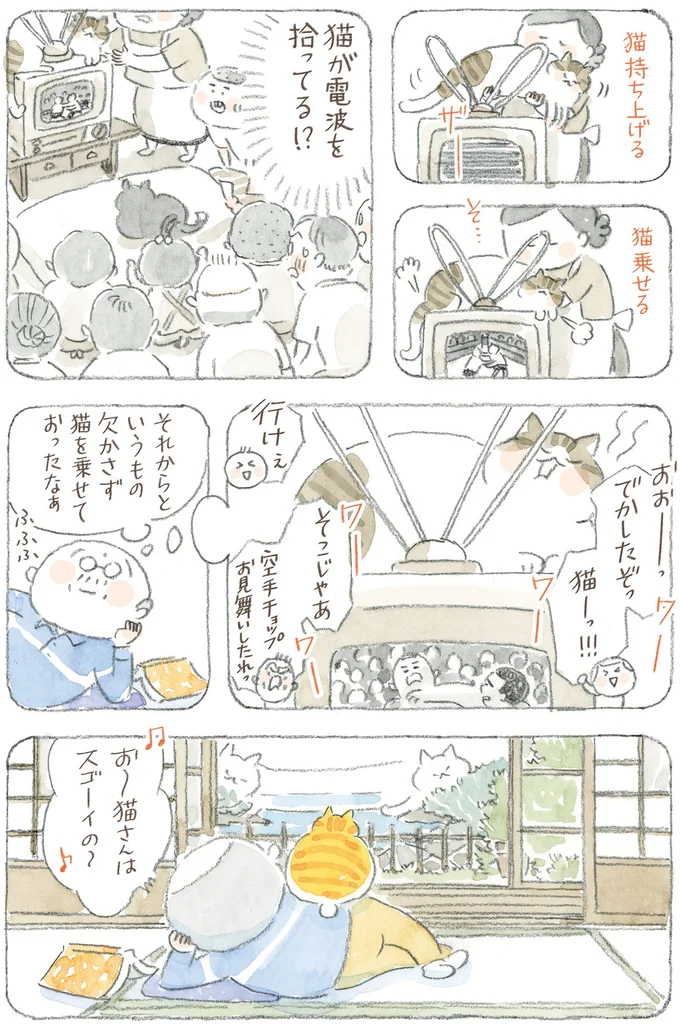 猫が電波を拾ってる！？