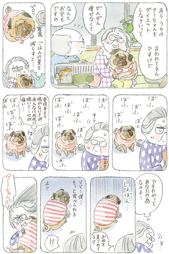 ごはんの量を減らすと…