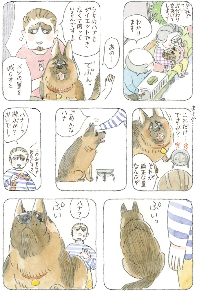 メシの量を減らすと