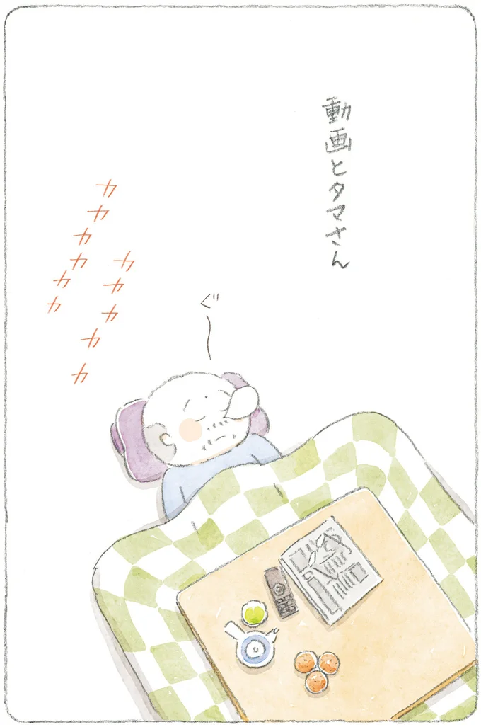 動画とタマさん