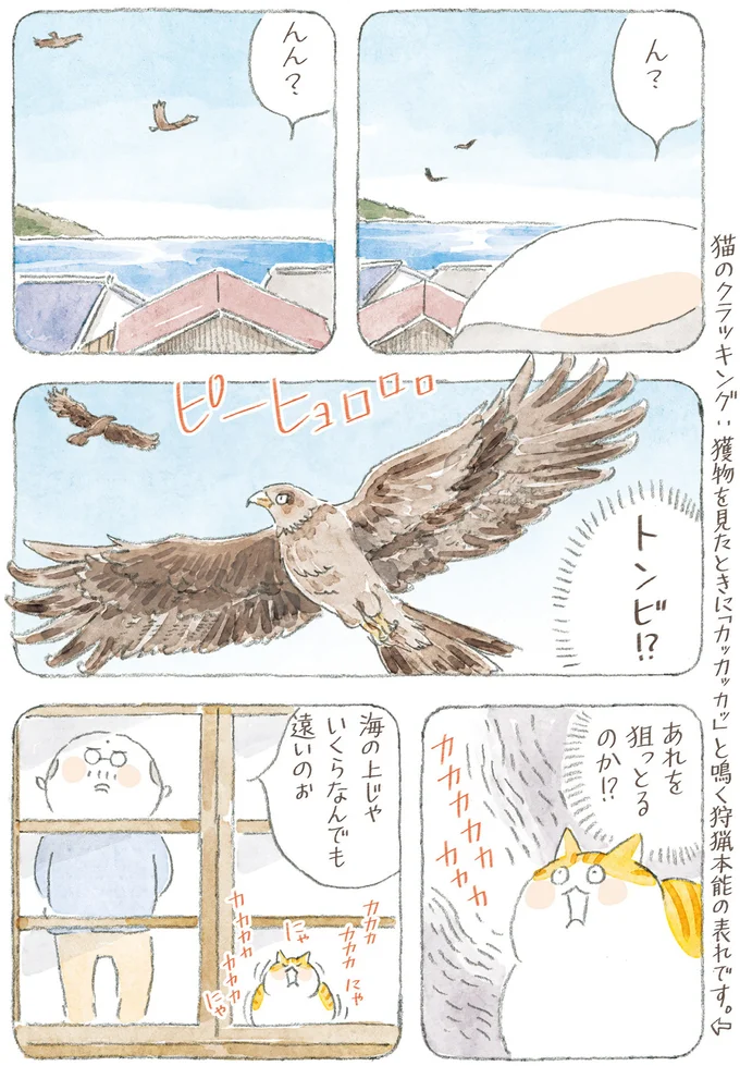 あれを狙っとるのか!?