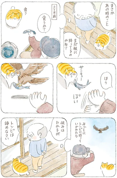 トンビは諦めなさい