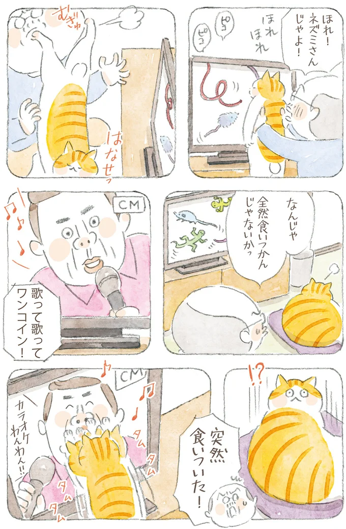 全然食いつかんじゃないかっ
